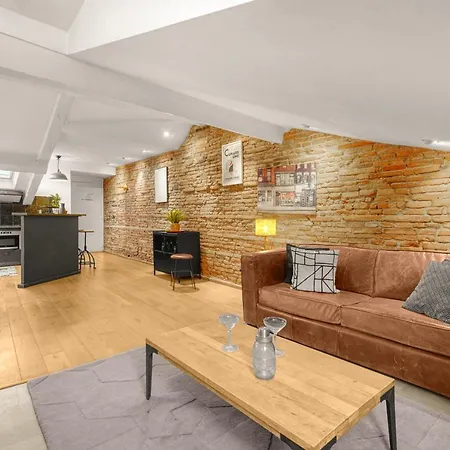 Le Brandy - Loft Climatise De 42m² * تولوز
