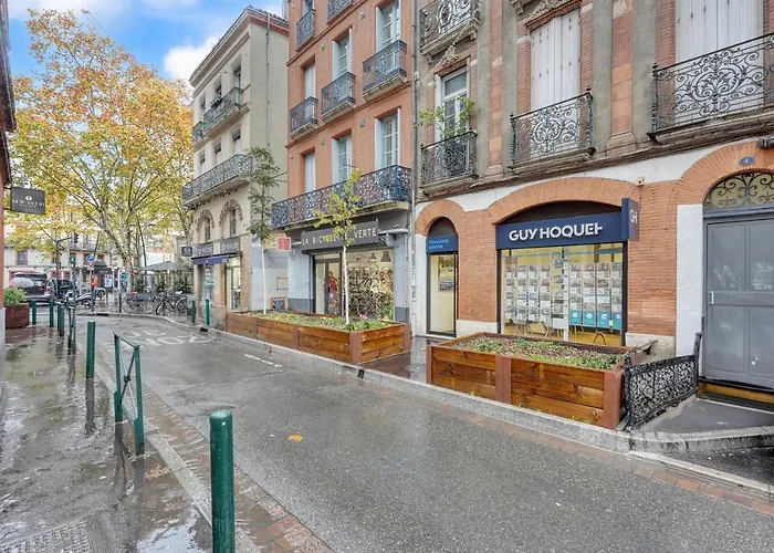 Apartamento Le Brandy - Loft Climatisé De 42m² Toulouse